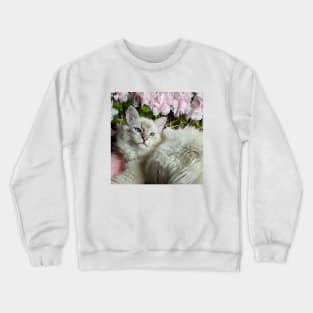 Saoirse ragdoll Crewneck Sweatshirt